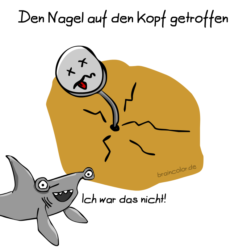 Nagel auf den Kopf getroffen