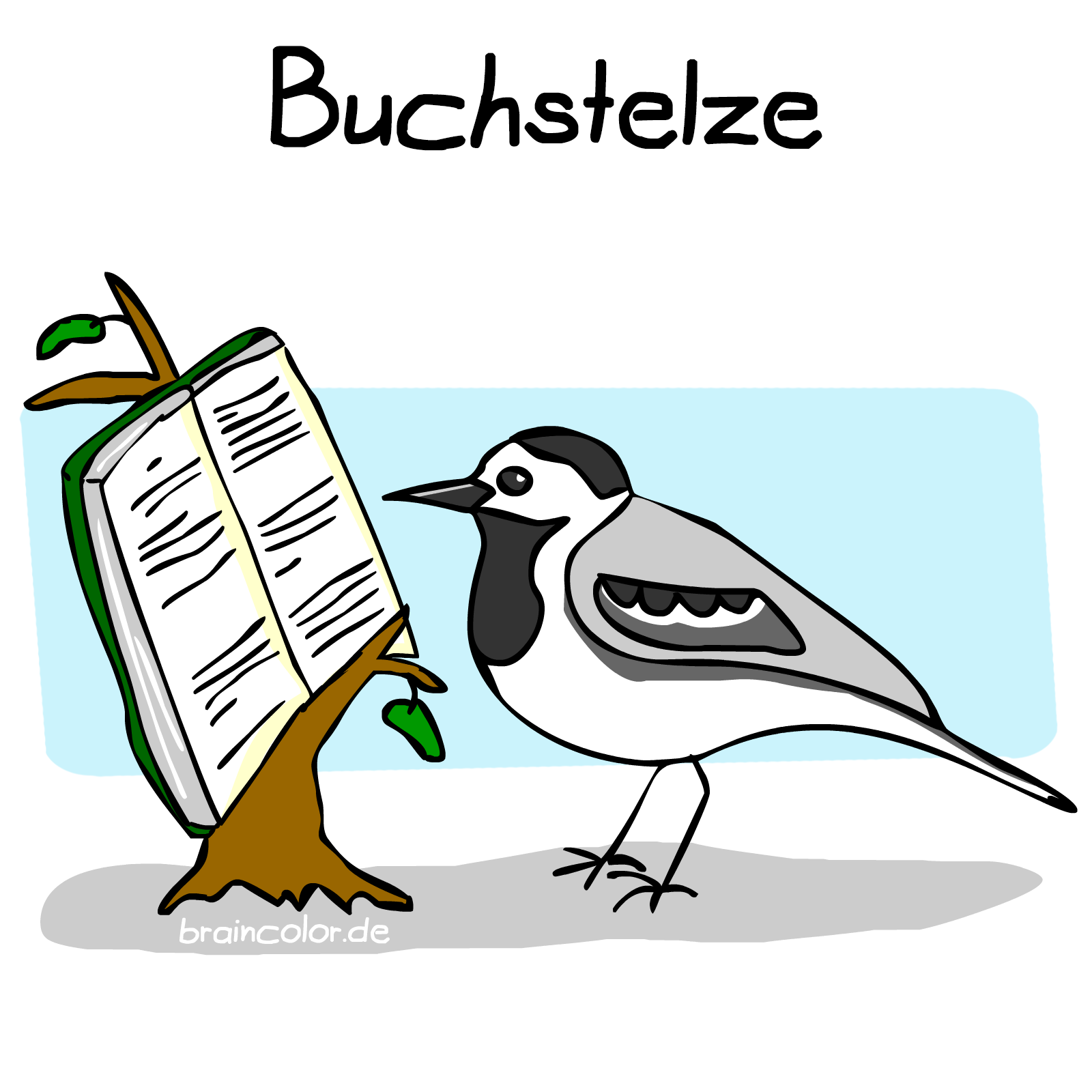 bachstelze