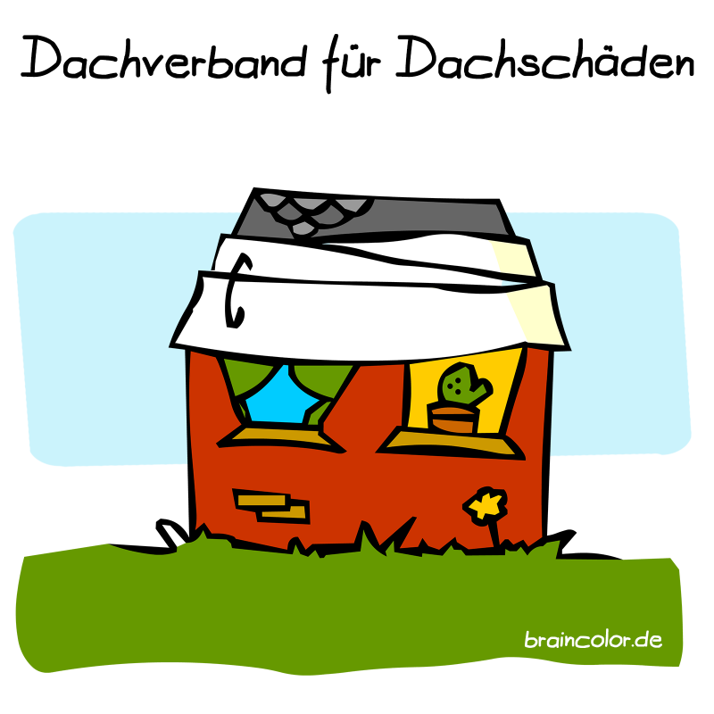 Dachverband für Dachschäden
