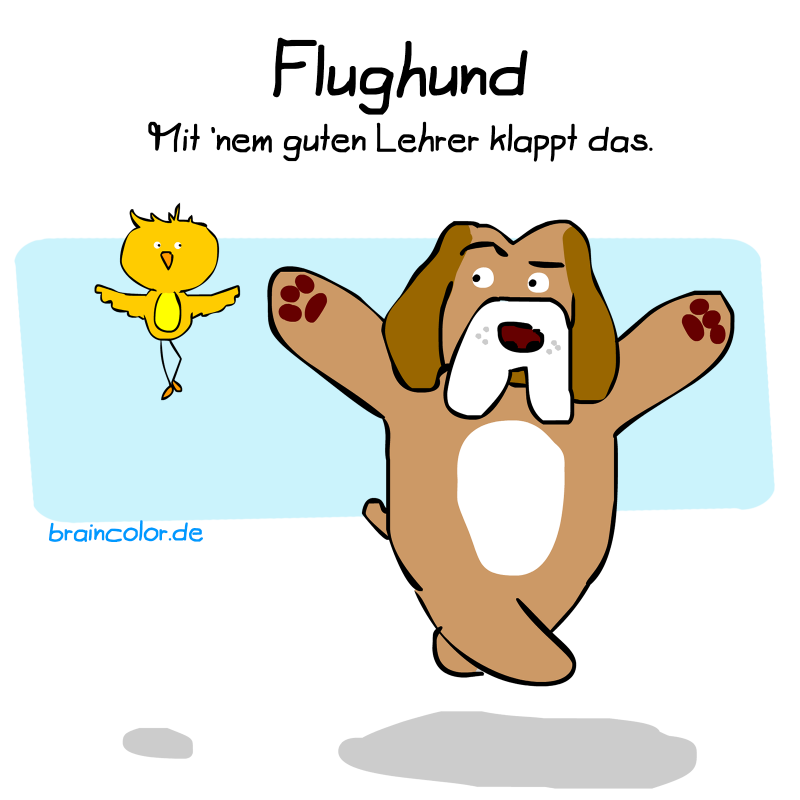 flughund