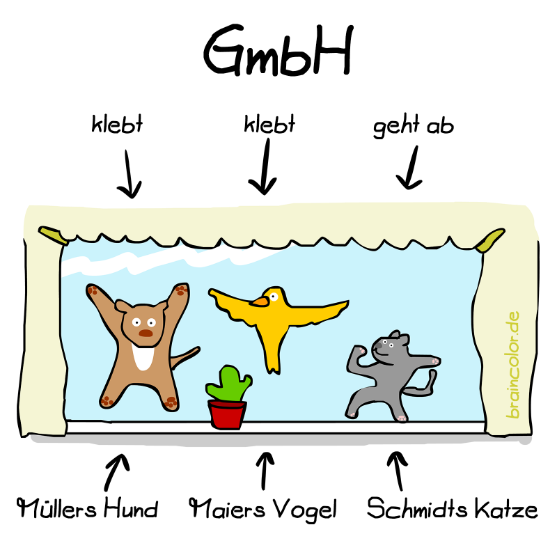 Gesellschaft mit beschränkter Haftung