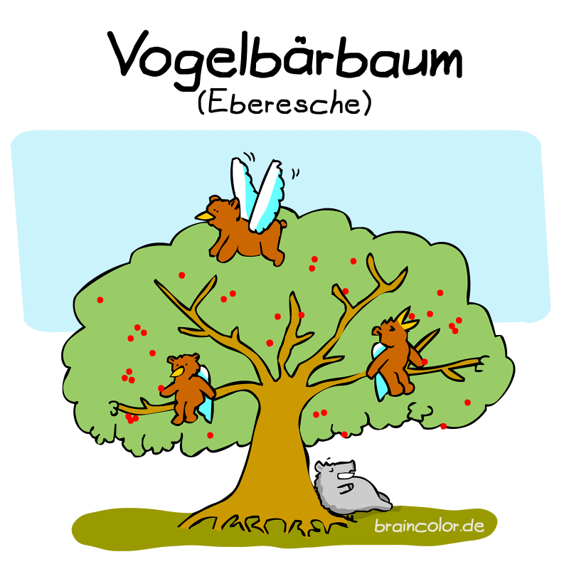 vogelbeeren eberesche