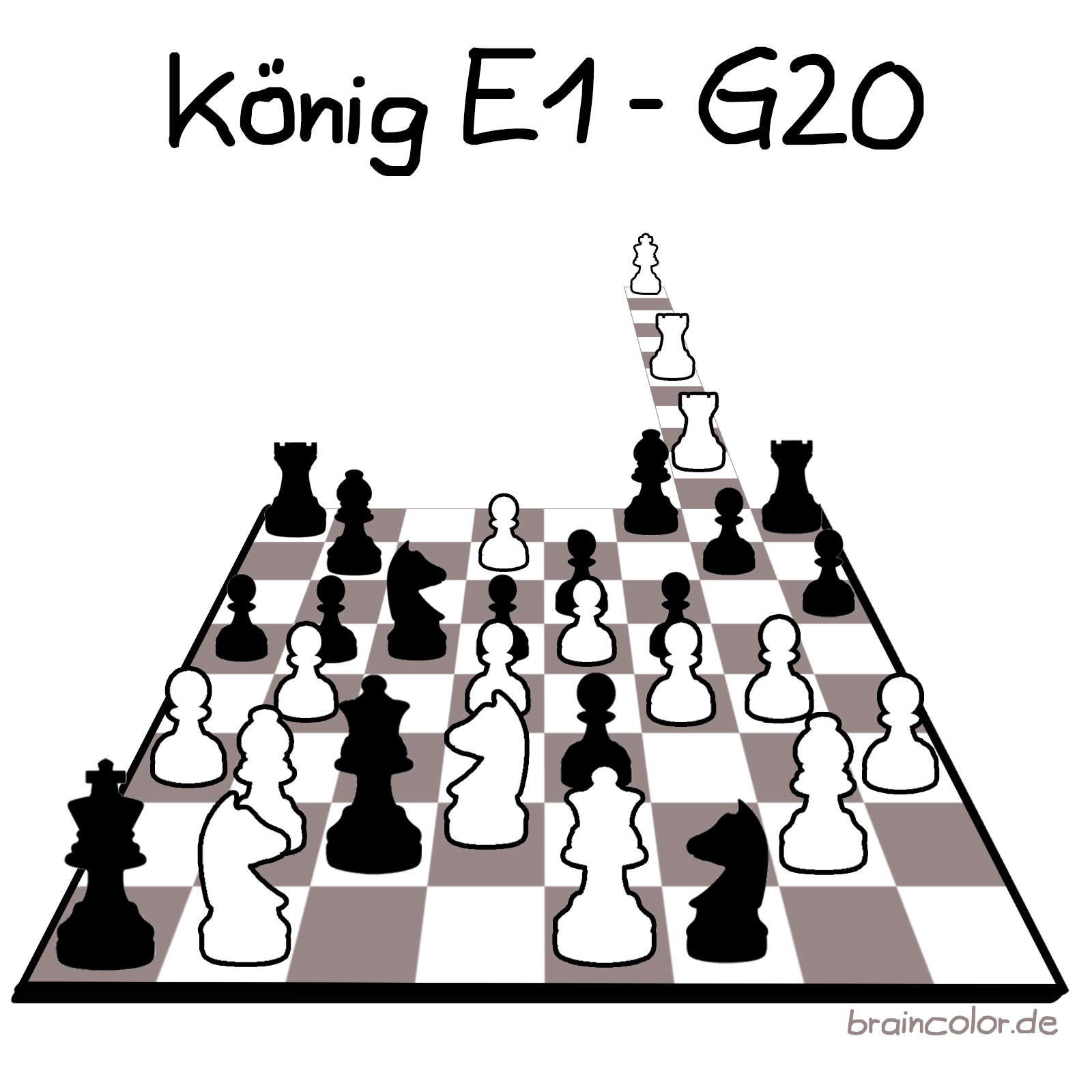 G20 Schach