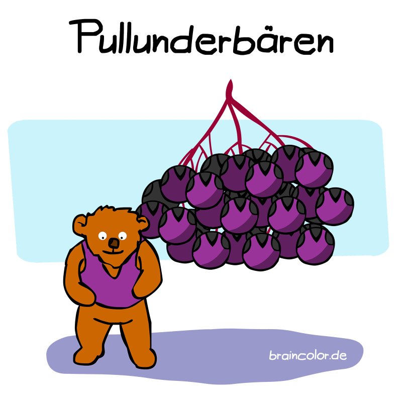 holunderbeeren