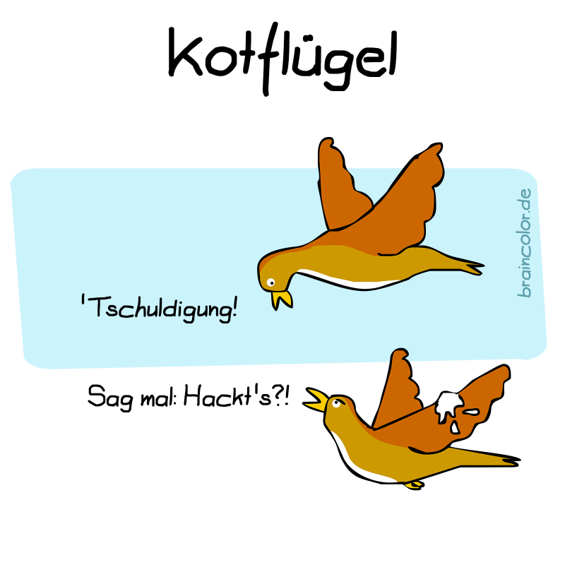 kotflügel