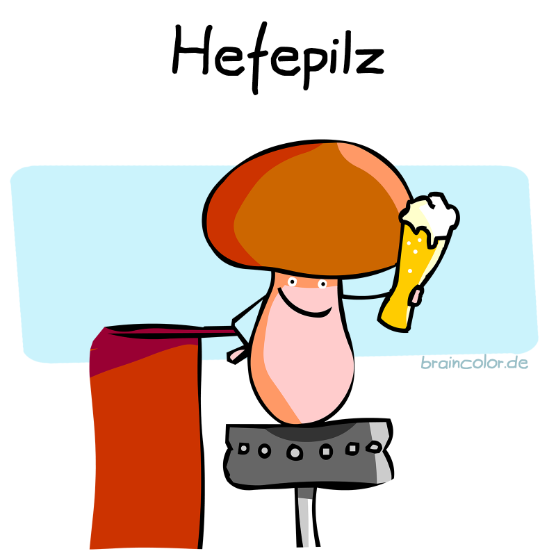 hefepilz