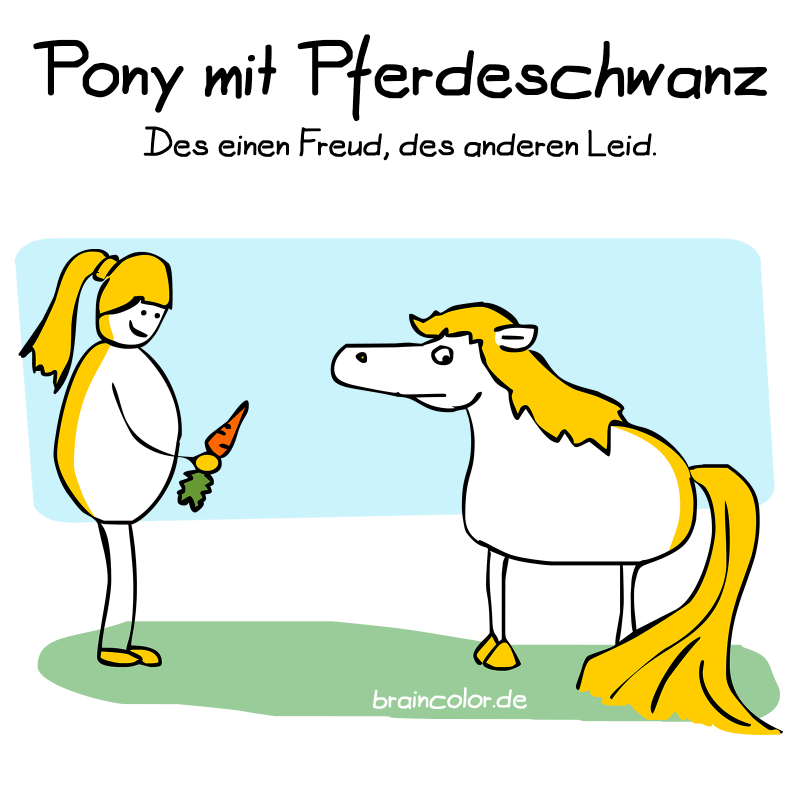 pony-pferdeschwanz