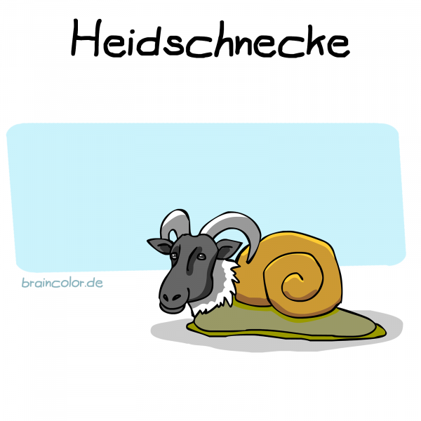 heidschnucke