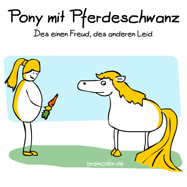 pony-pferdeschwanz